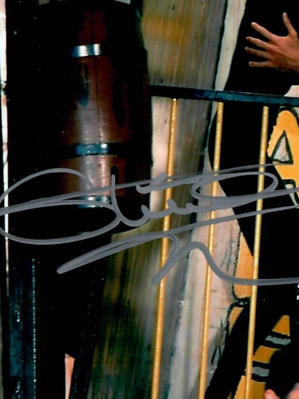 Olivia Newton Jones Grease Vaselina Actress Signed 8X10 Photo - Picture 2 of 3
